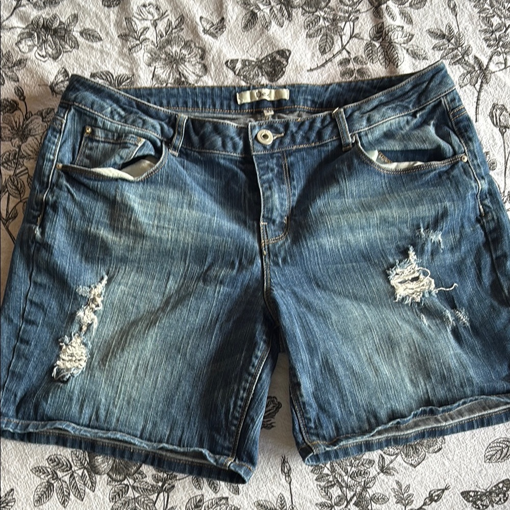 Denim Distressed Women Shorts